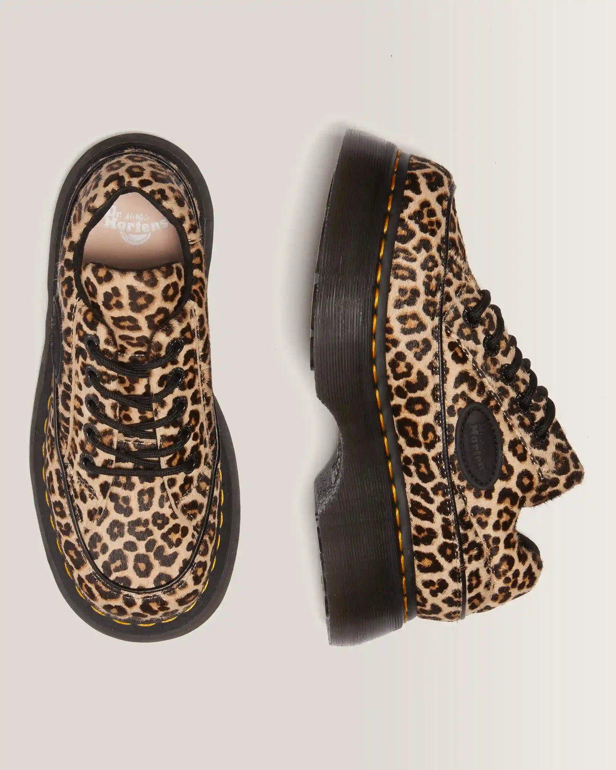 Buzz 5-eye leopard shoes